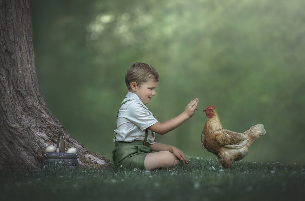 Smiling young boy feeding a pet chicken outdoors in a sunny backyard during a children custom photo session in Ottawa

