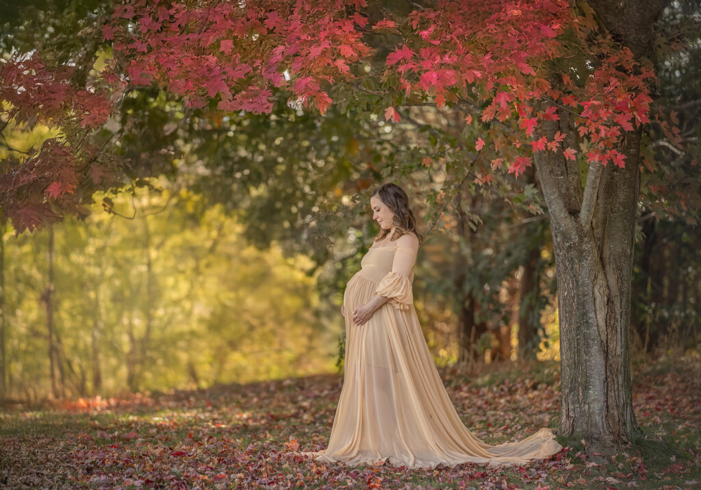 Outdoor maternity portrait in scenic Ottawa location photographed by maternity photographer.